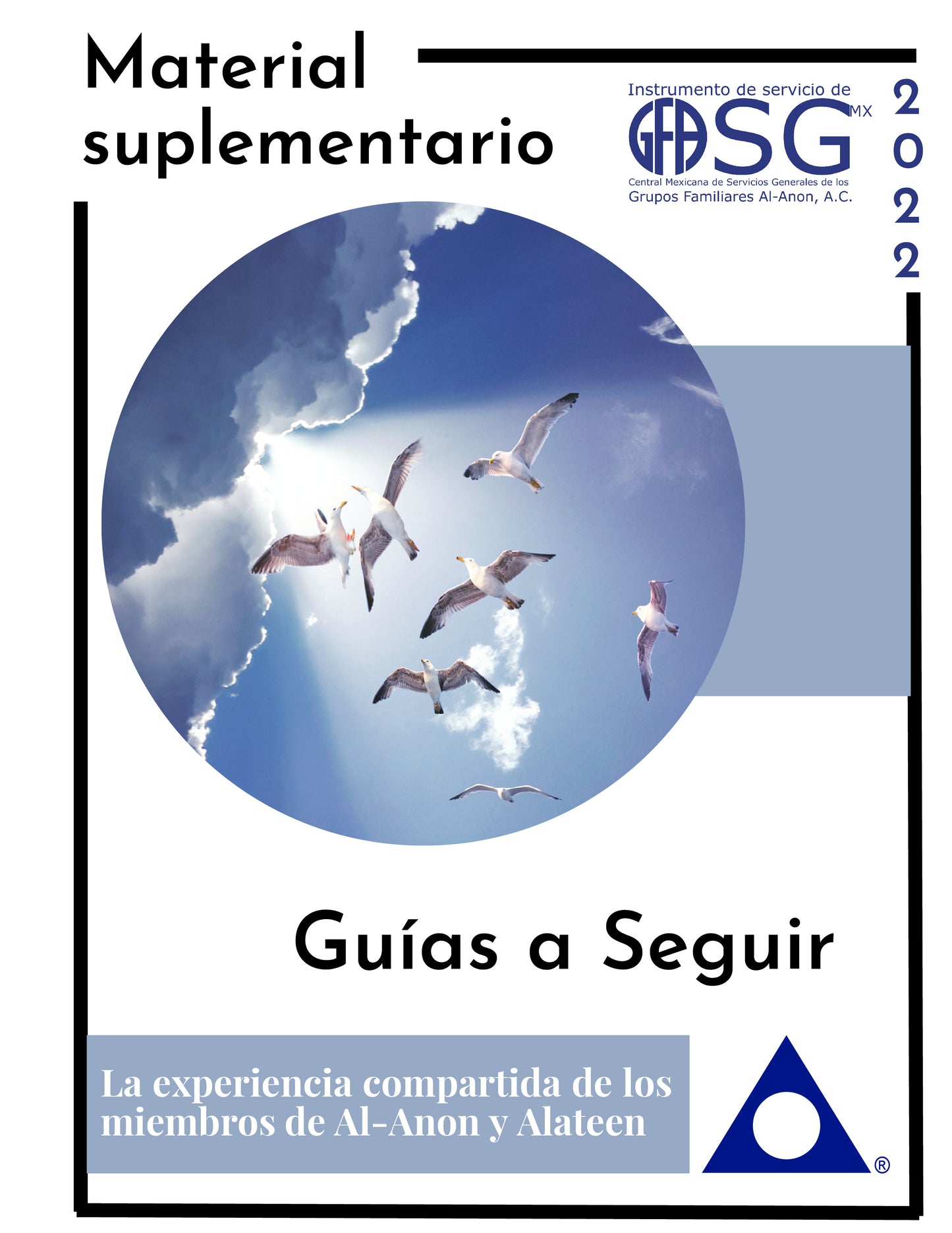 MATERIAL SUPLEMENTARIO (GUIAS A SEGUIR)