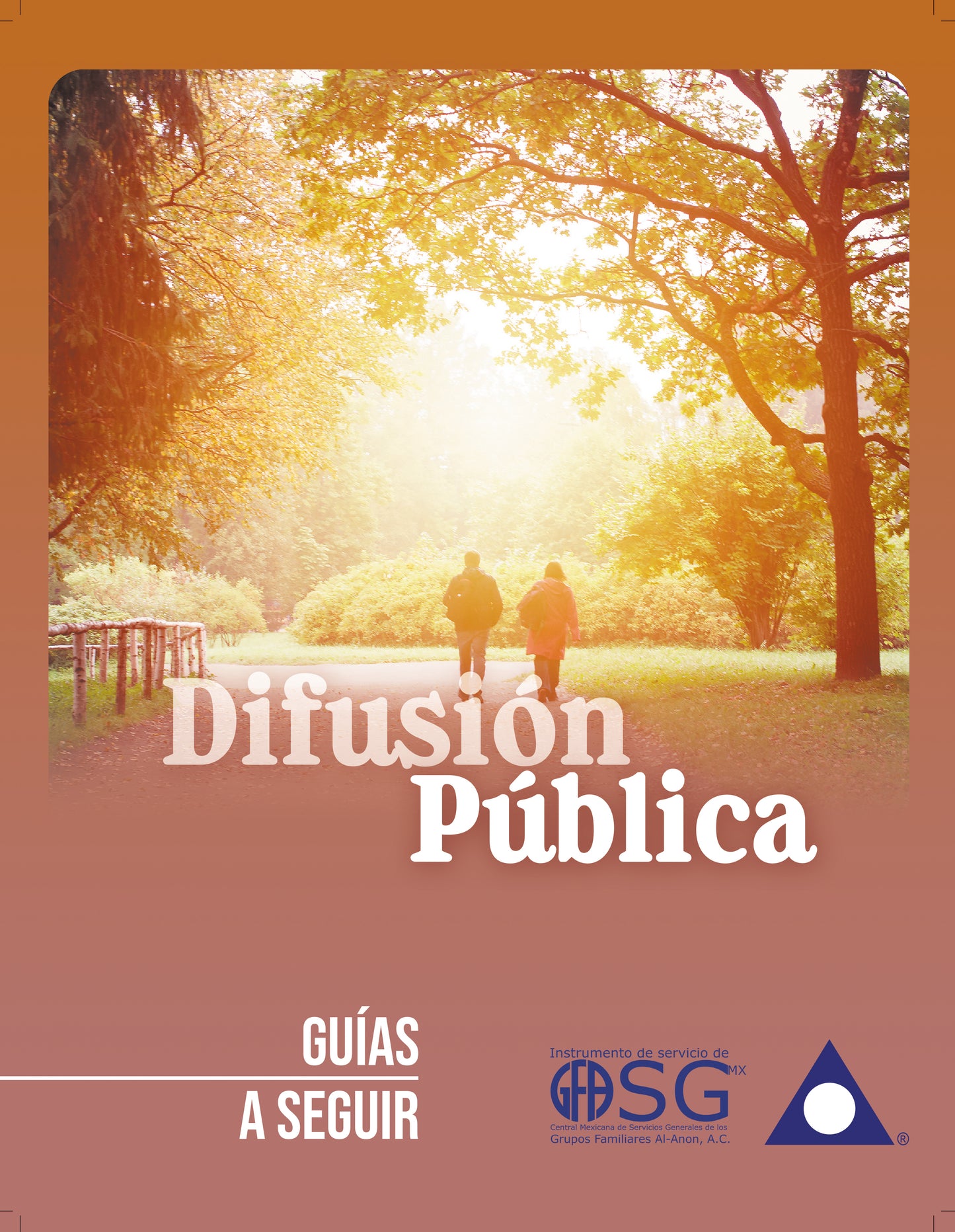 DIFUSION PUBLICA GUIAS A SEGUIR
