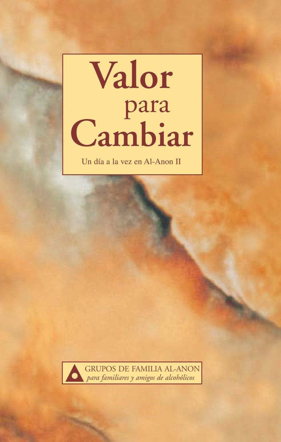 VALOR PARA CAMBIAR (TAMAÑO CHICO)